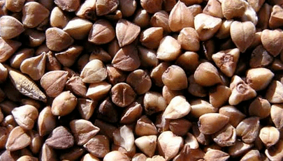 Bouillie de sarrasin pour la perte de poids